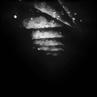 ...Don't Forget These Words